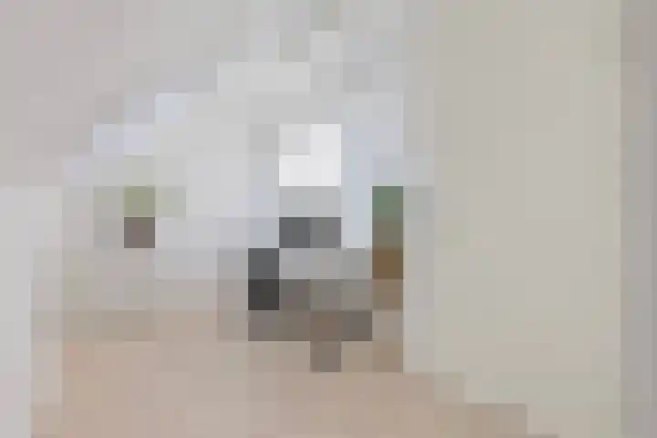 Frankhuizerallee 220 Zwolle thumbnail 36
