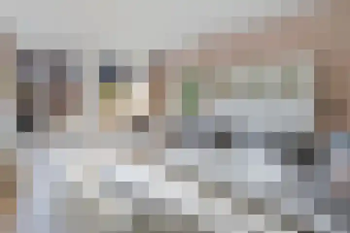 Frankhuizerallee 220 Zwolle thumbnail 9