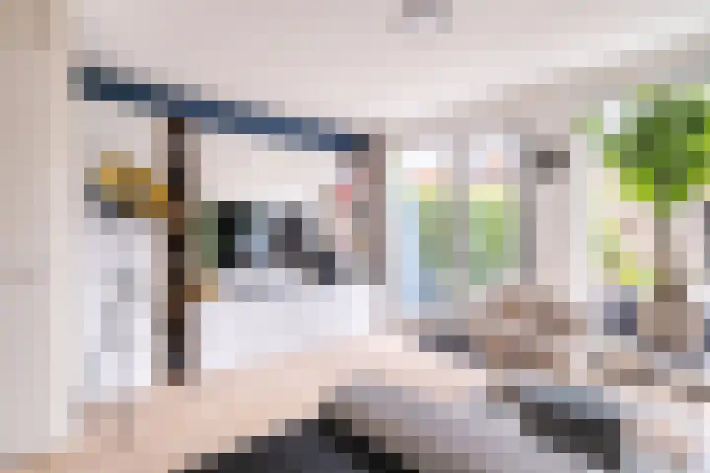 Frankhuizerallee 236 Zwolle thumbnail 13