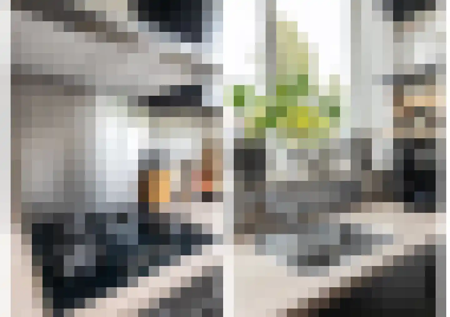 Frankhuizerallee 236 Zwolle thumbnail 16