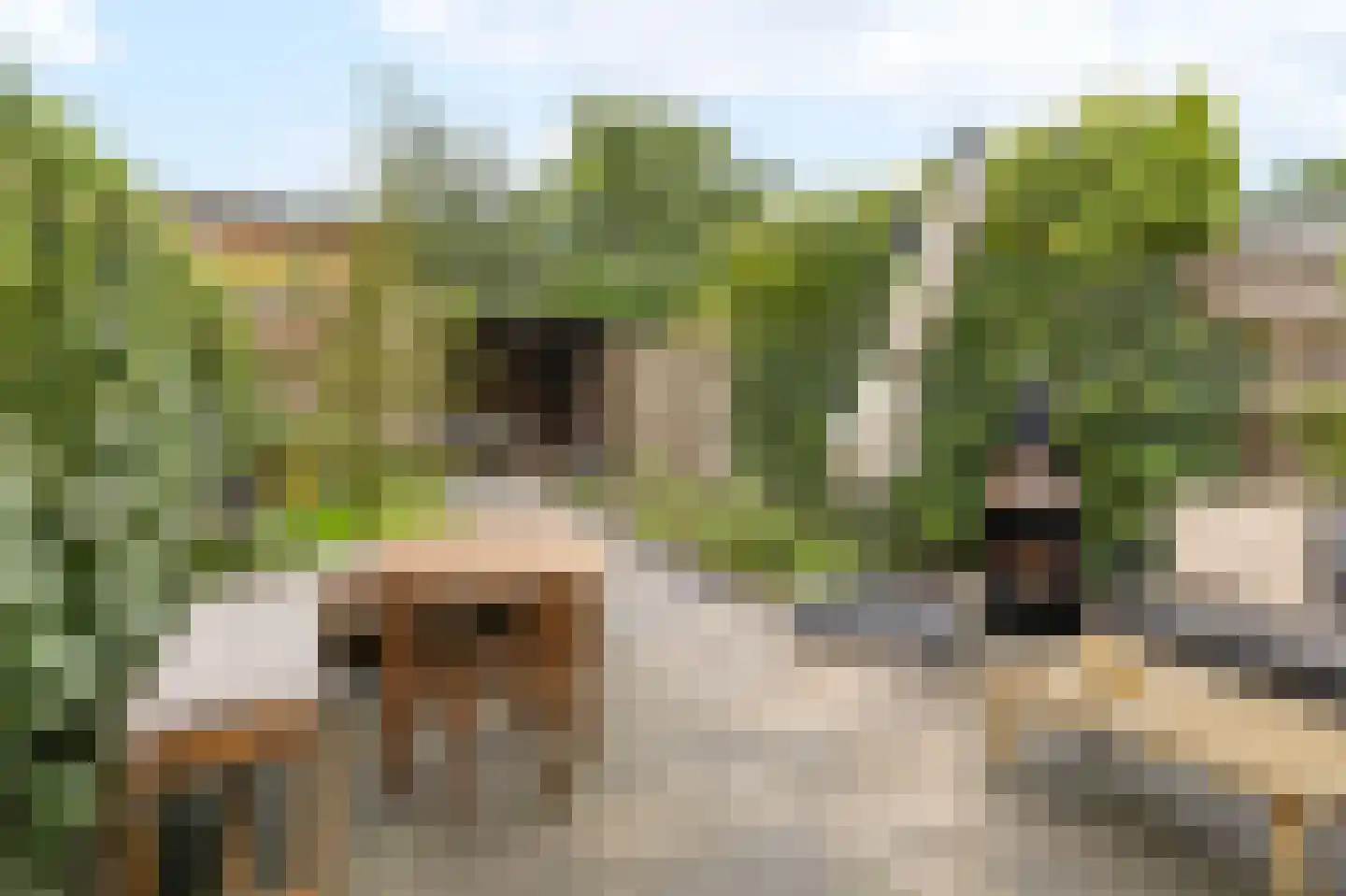 Frankhuizerallee 236 Zwolle thumbnail 17