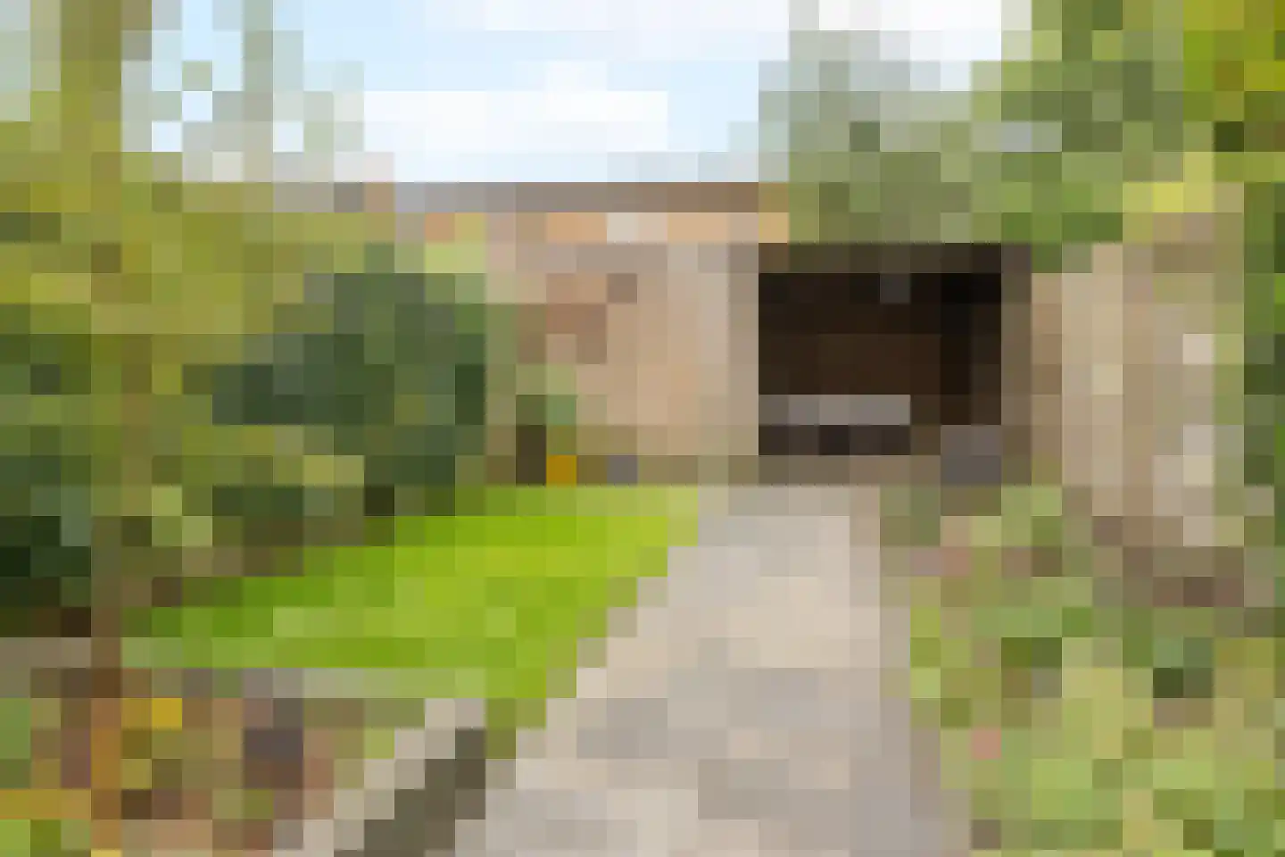 Frankhuizerallee 236 Zwolle thumbnail 19