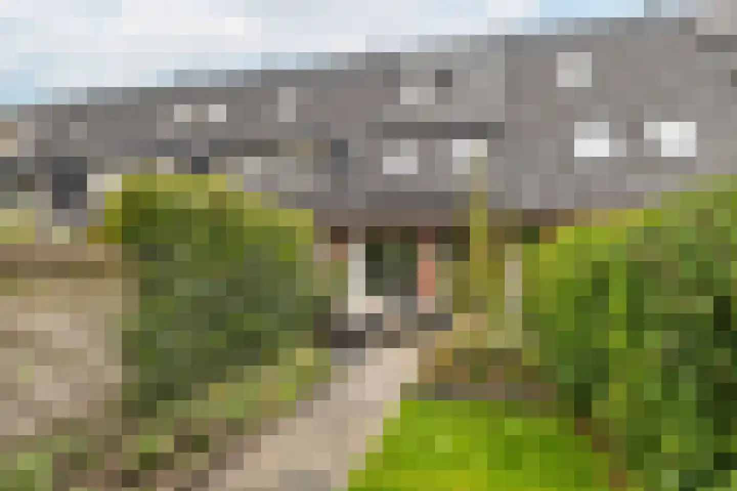 Frankhuizerallee 236 Zwolle thumbnail 21