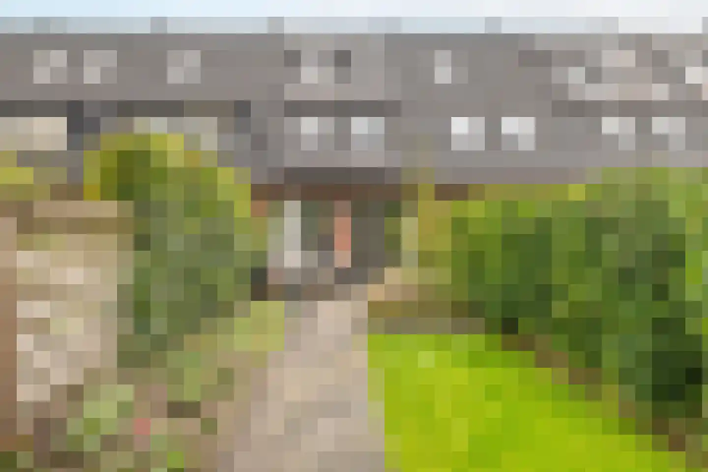 Frankhuizerallee 236 Zwolle thumbnail 22