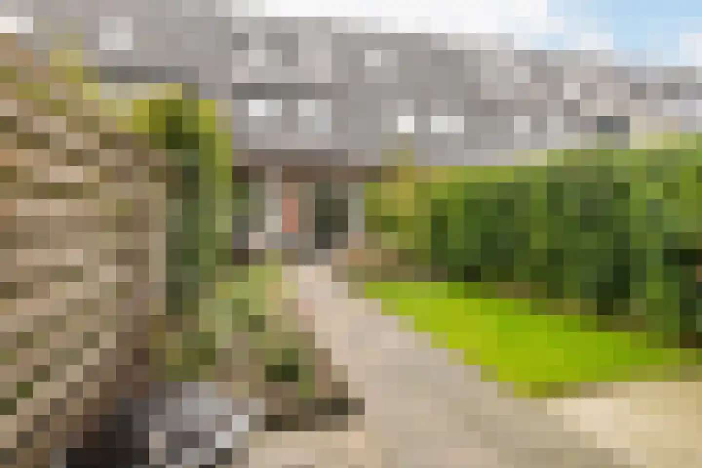 Frankhuizerallee 236 Zwolle thumbnail 23