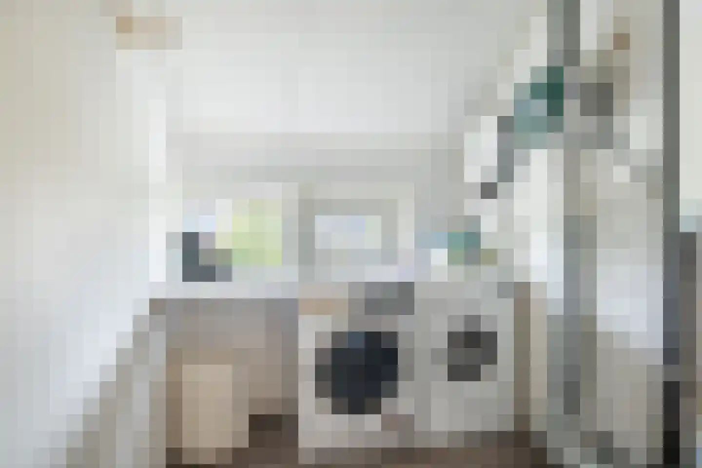 Frankhuizerallee 236 Zwolle thumbnail 36