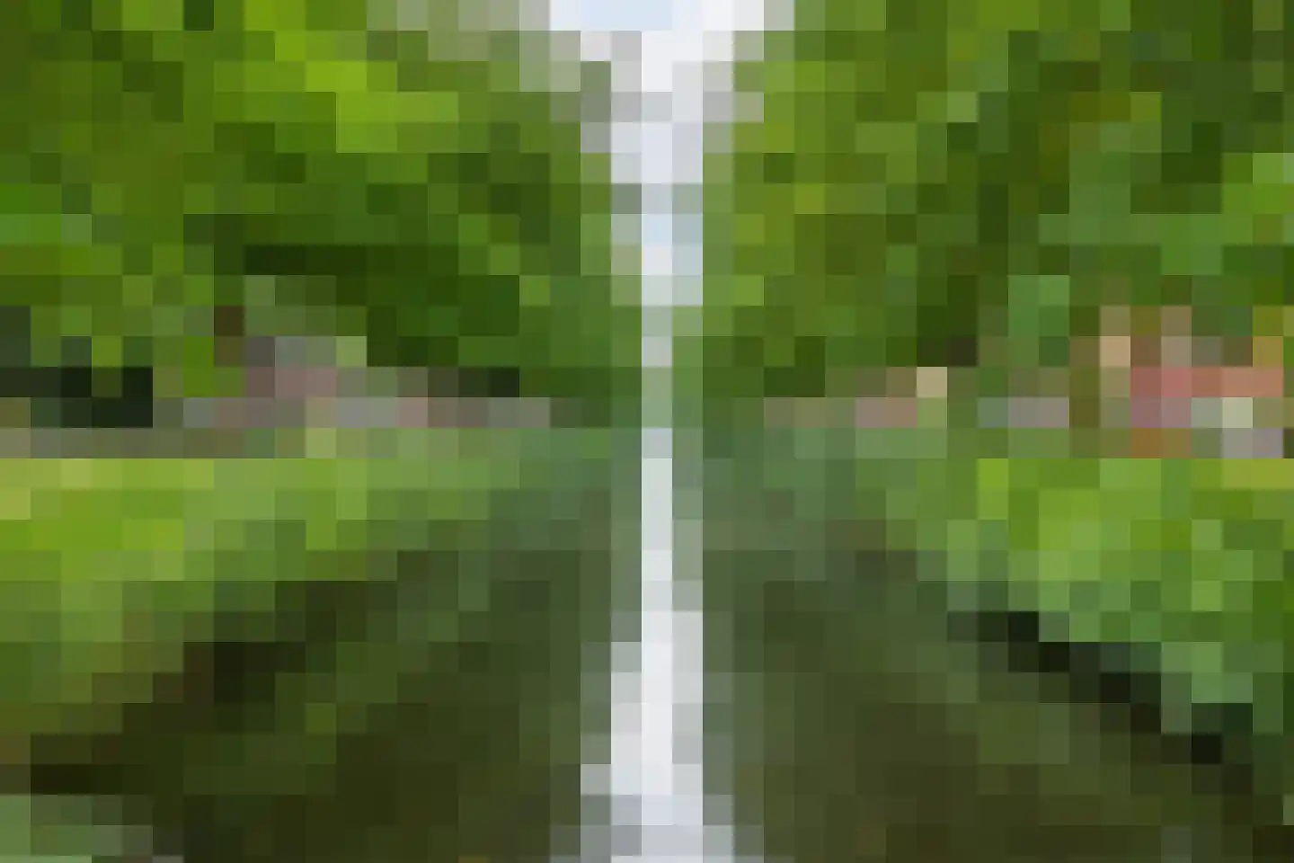 Frankhuizerallee 236 Zwolle thumbnail 39