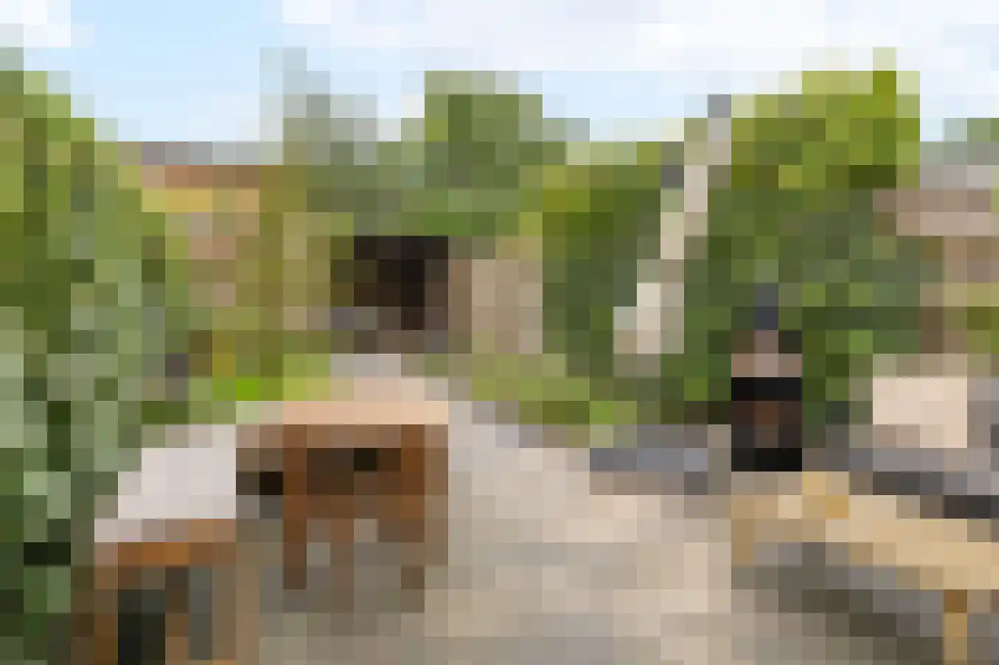 Frankhuizerallee 236 Zwolle thumbnail 5