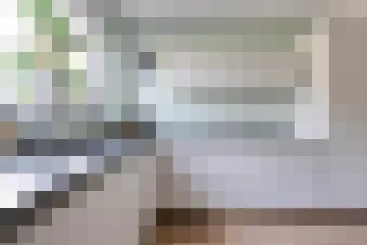 Frankhuizerallee 246 Zwolle thumbnail 10