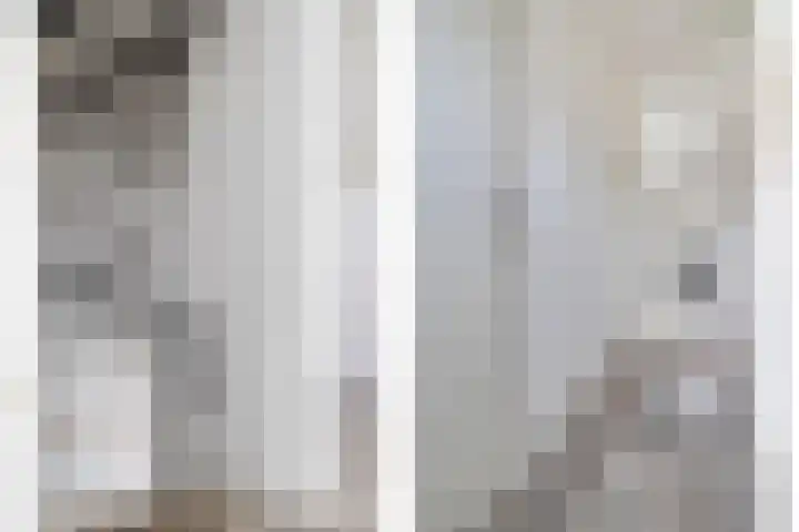 Frankhuizerallee 246 Zwolle thumbnail 15