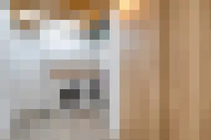 Frankhuizerallee 246 Zwolle thumbnail 21