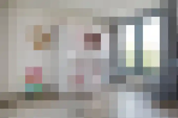 Frankhuizerallee 246 Zwolle thumbnail 24