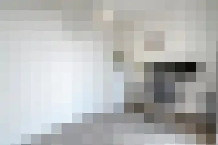 Frankhuizerallee 246 Zwolle thumbnail 26