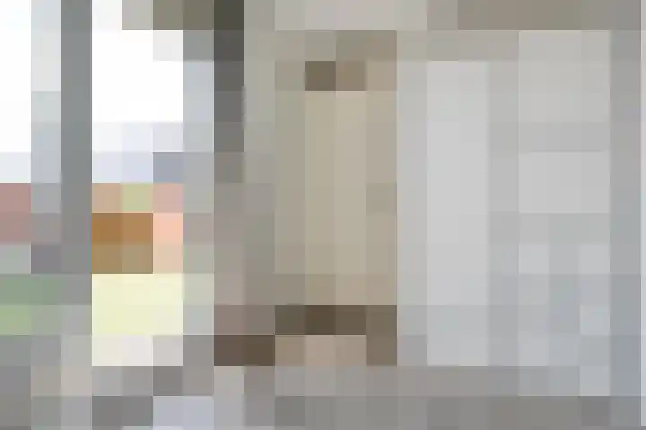 Frankhuizerallee 246 Zwolle thumbnail 27