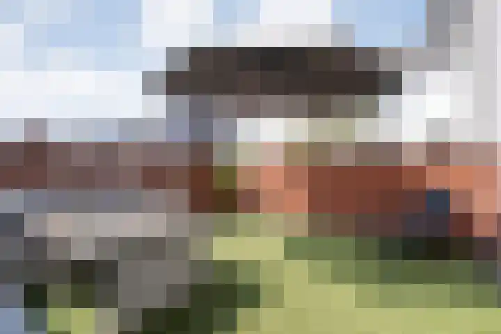 Frankhuizerallee 246 Zwolle thumbnail 28
