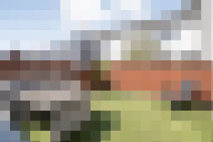 Frankhuizerallee 246 Zwolle thumbnail 29