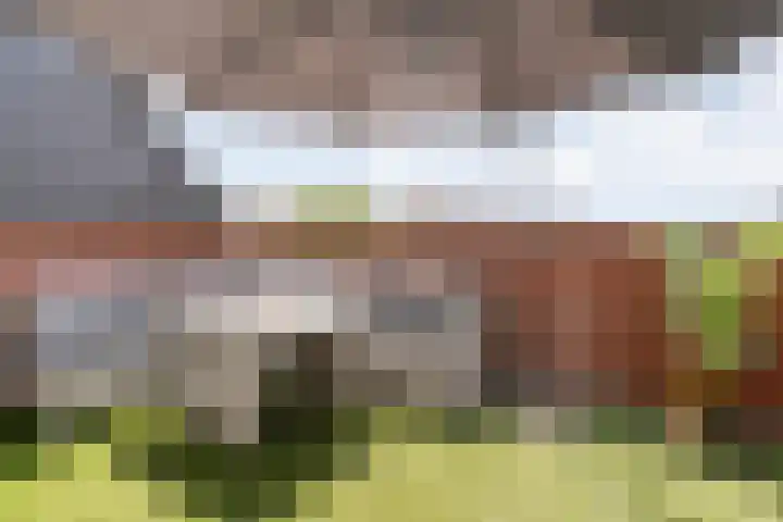 Frankhuizerallee 246 Zwolle thumbnail 31