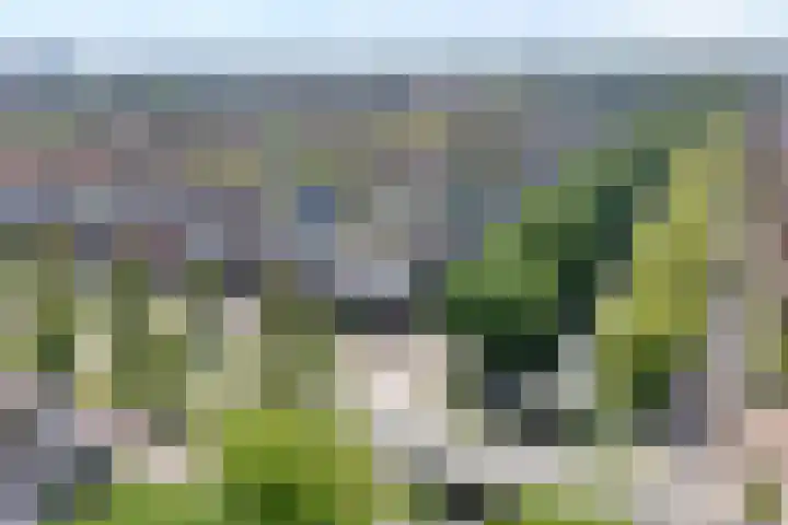 Frankhuizerallee 246 Zwolle thumbnail 39