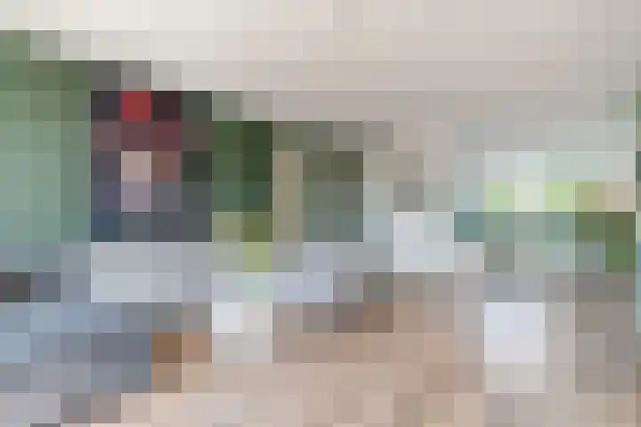 Frankhuizerallee 246 Zwolle thumbnail 4