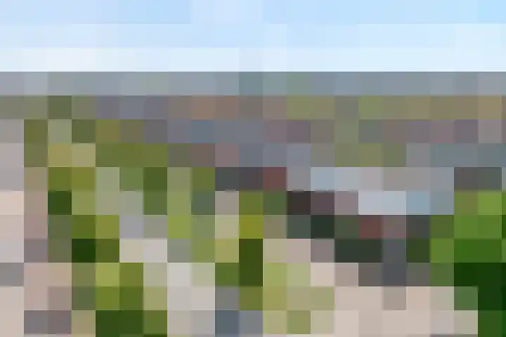 Frankhuizerallee 246 Zwolle thumbnail 41