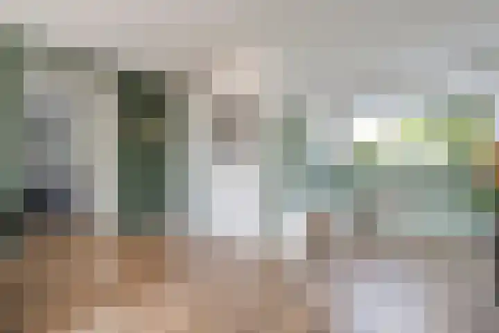 Frankhuizerallee 246 Zwolle thumbnail 5
