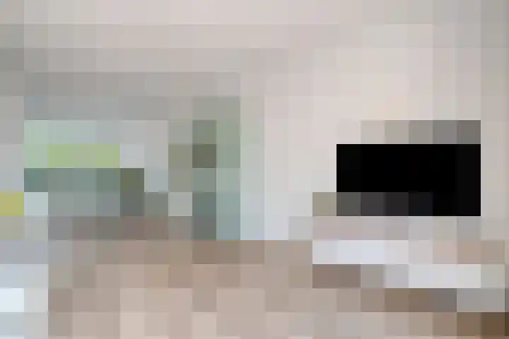 Frankhuizerallee 246 Zwolle thumbnail 6