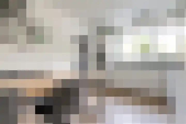Frankhuizerallee 246 Zwolle thumbnail 7