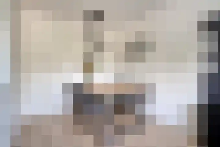 Frankhuizerallee 246 Zwolle thumbnail 9