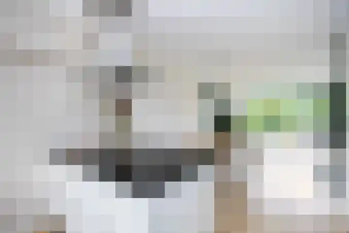 Frankhuizerallee 28 Zwolle thumbnail 10