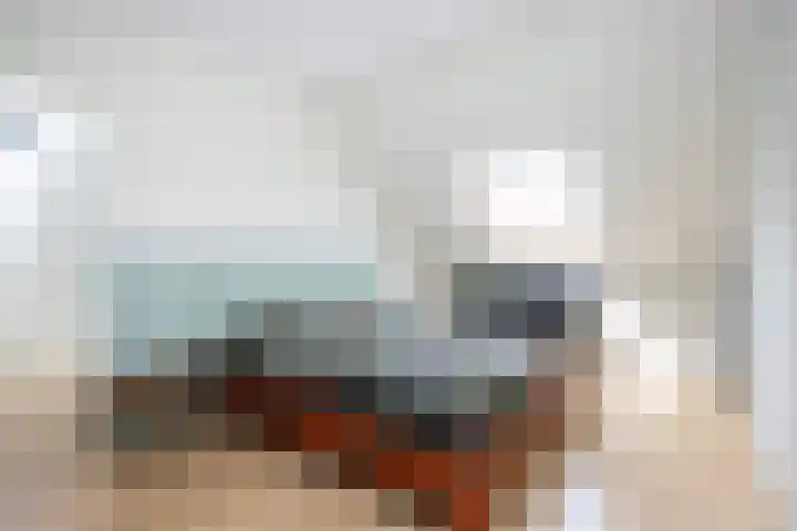 Frankhuizerallee 28 Zwolle thumbnail 15