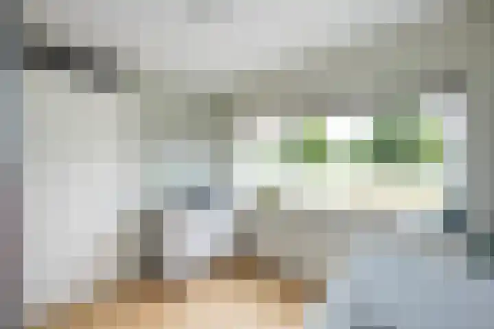 Frankhuizerallee 28 Zwolle thumbnail 17