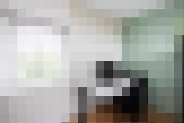 Frankhuizerallee 28 Zwolle thumbnail 26