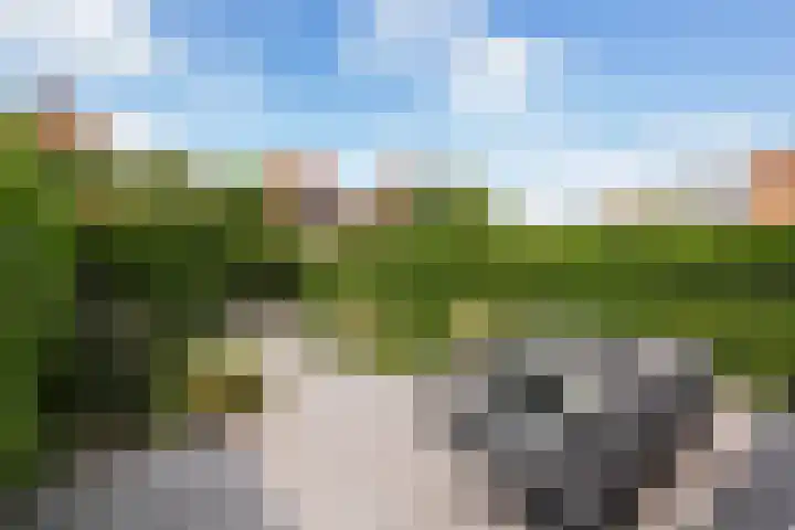 Frankhuizerallee 28 Zwolle thumbnail 30