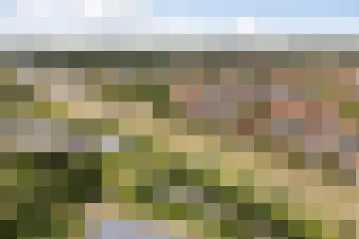 Frankhuizerallee 28 Zwolle thumbnail 34