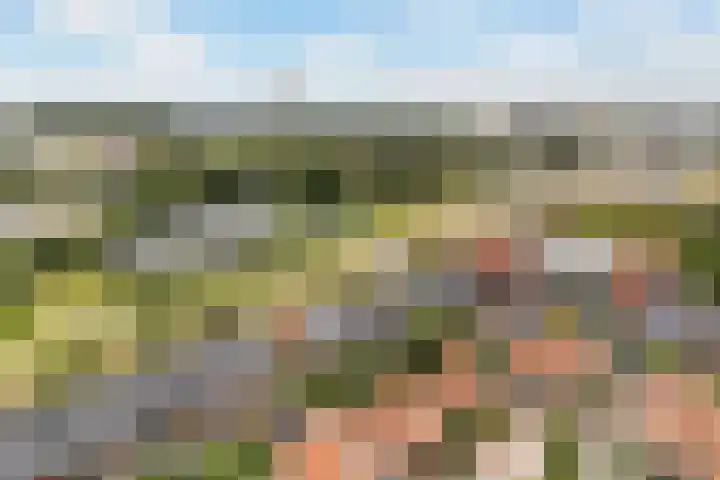 Frankhuizerallee 28 Zwolle thumbnail 35