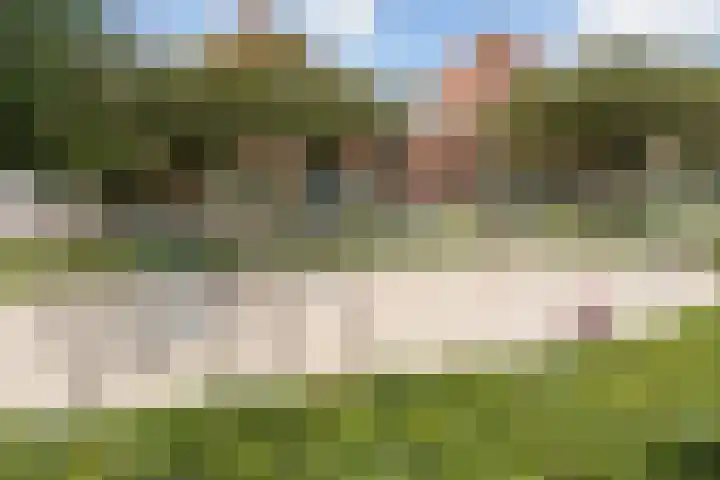 Frankhuizerallee 28 Zwolle thumbnail 36