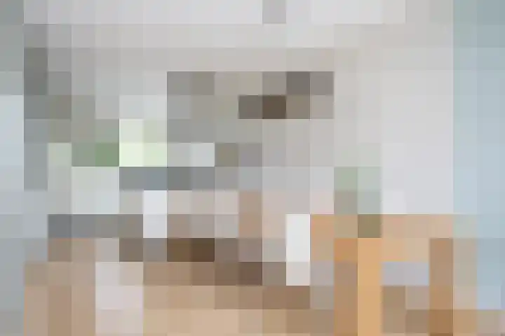 Frankhuizerallee 28 Zwolle thumbnail 7