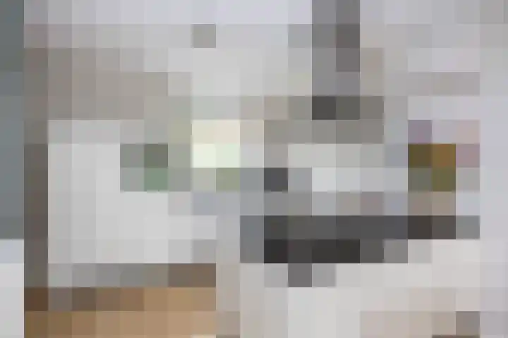 Frankhuizerallee 28 Zwolle thumbnail 9