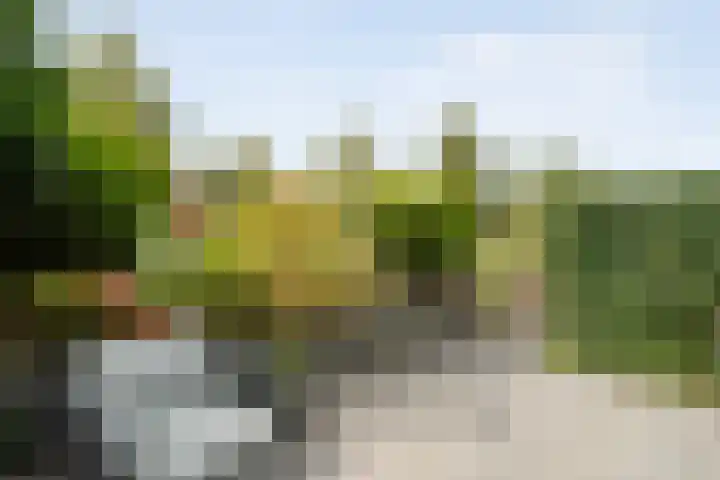 Frankhuizerallee 33 Zwolle thumbnail 10