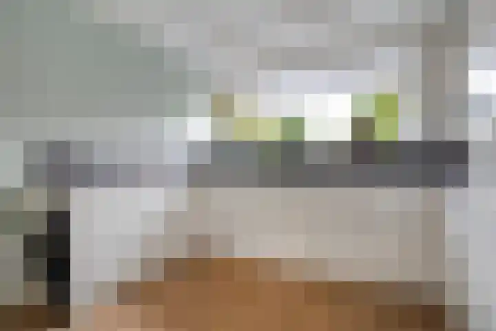 Frankhuizerallee 33 Zwolle thumbnail 17