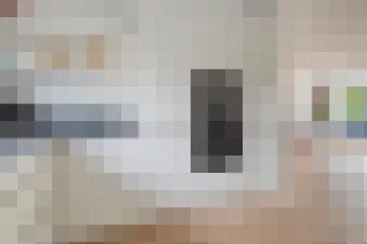 Frankhuizerallee 33 Zwolle thumbnail 18