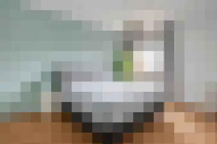 Frankhuizerallee 33 Zwolle thumbnail 23