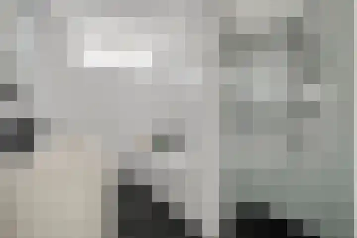 Frankhuizerallee 33 Zwolle thumbnail 27