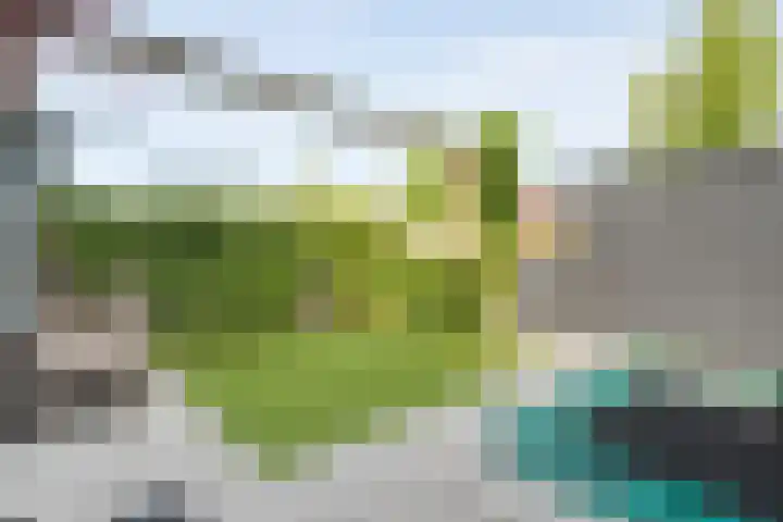 Frankhuizerallee 33 Zwolle thumbnail 36