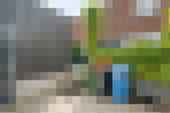 Frankhuizerallee 33 Zwolle thumbnail 37