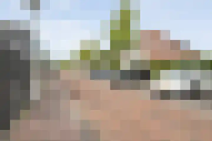Frankhuizerallee 33 Zwolle thumbnail 40