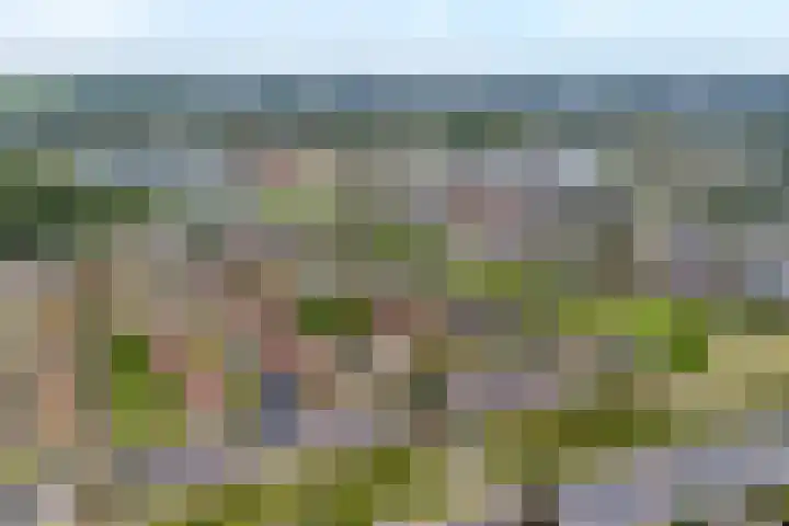 Frankhuizerallee 33 Zwolle thumbnail 41