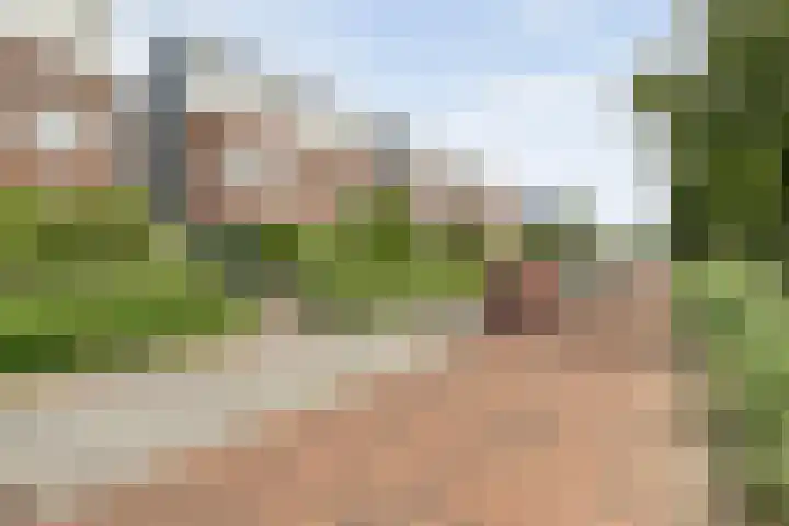 Frankhuizerallee 33 Zwolle thumbnail 5