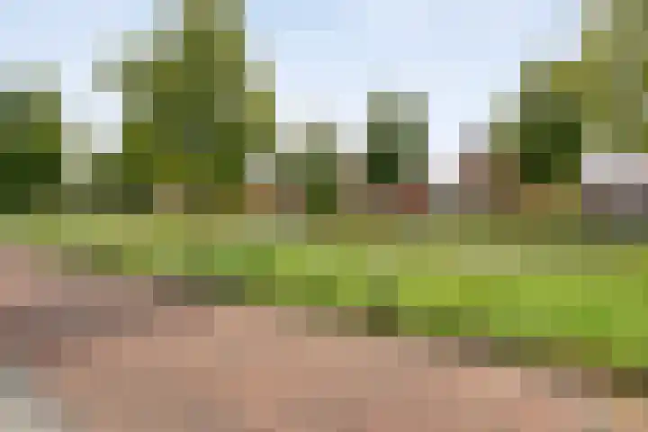 Frankhuizerallee 33 Zwolle thumbnail 6