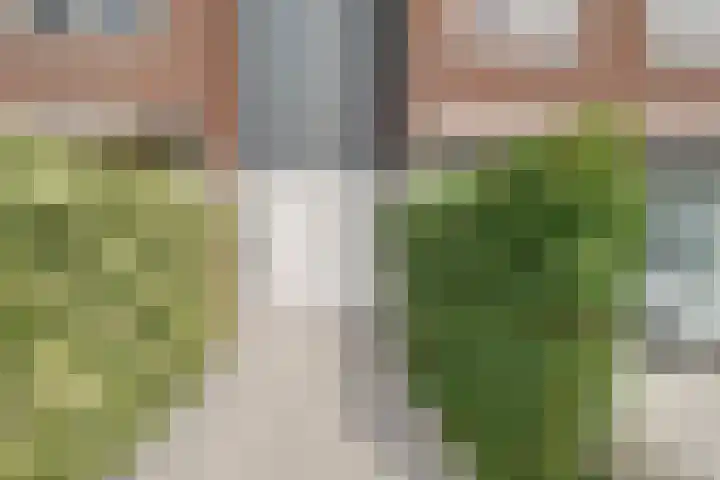 Frankhuizerallee 33 Zwolle thumbnail 7